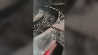 Biyokütle Pelet Makinesi Çalışırken: Kararlı Yüksek Çıkış
