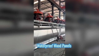 Flotasyon Hücresi-3