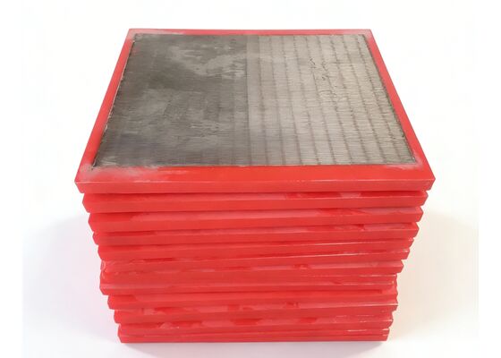Corrosion Resistant SS316L Resin Trap Screen for Petrochemical Ion Exchange Media Systems