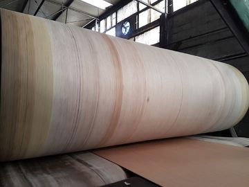 Aramid Kenar Oluklu Kemer BHS, FOSBER, MARQUIP Oluklu Çizgi İçin Yüksek Dayanıklılık